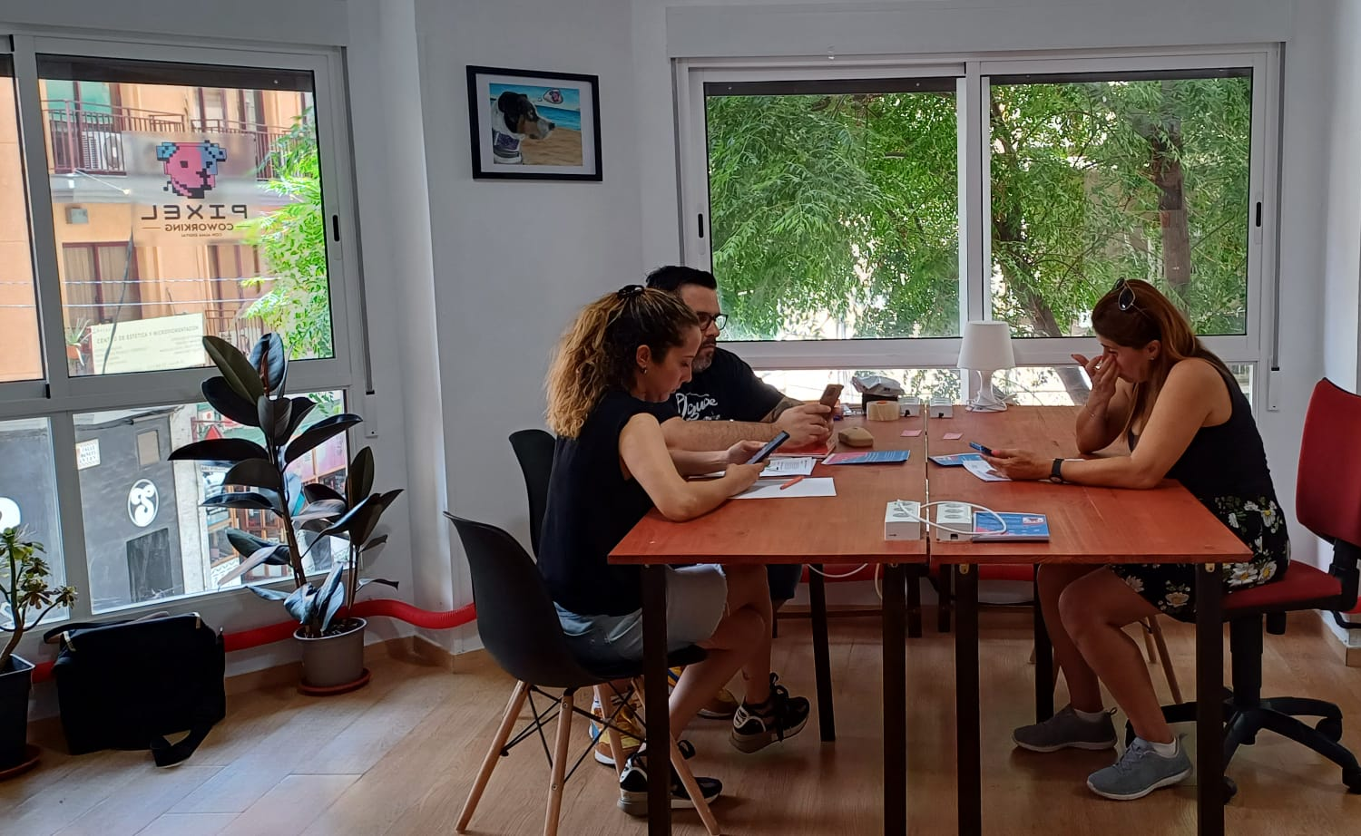 Zona coworking semanal Alicante