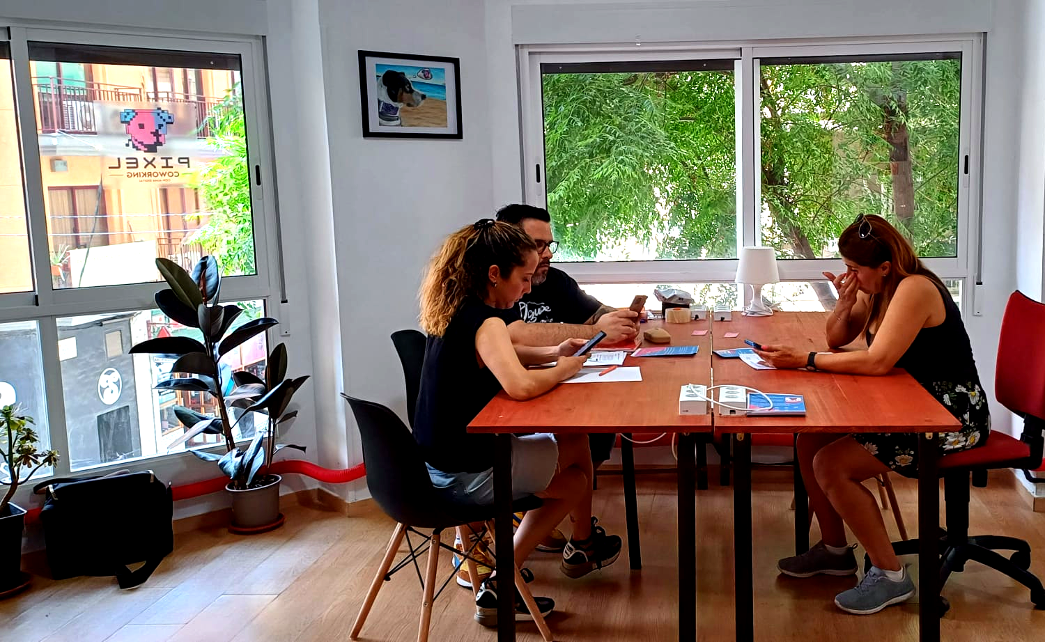 Equipo trabajando en Pixel Coworking Alicante